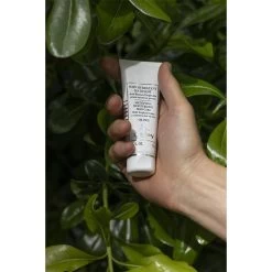 Soin Pour Hommes Soin Hydratant Matifiant Aux Résines Tropicales De Sisley -Soins Et Beauté Sisley Damenpflege Soin Hydratant Matifiant aux Resines Tropicales 61856x3 4